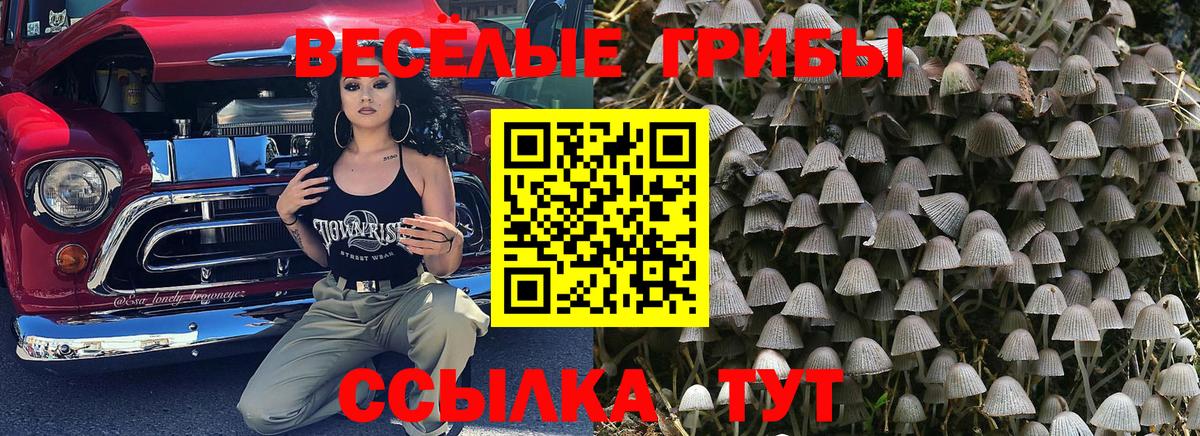 Псилоцибиновые грибы Magic Shrooms Саранск