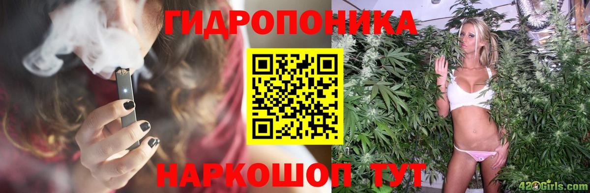 МАРИХУАНА ГИДРОПОН Саранск
